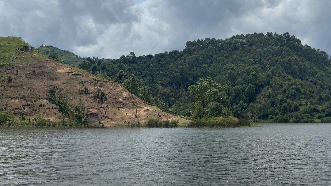 Environmental Conservation